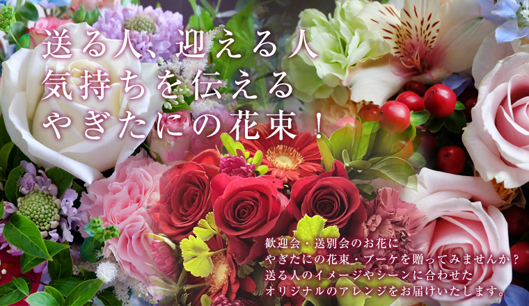 �����}����ʂ�€���ɂ̉ԑ�