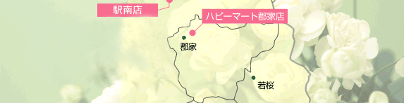 バラの花と地図
